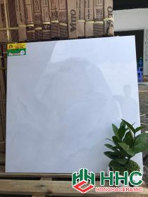 Gạch lát nền đẹp 60x60 VT6779